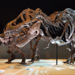 Three Tips to Be College and Career Ready